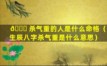 🍀 杀气重的人是什么命格（生辰八字杀气重是什么意思）